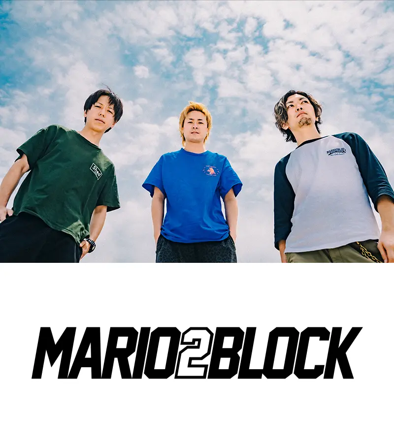 MARIO2BLOCK